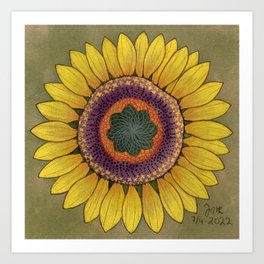 sunflower 6 Art Print