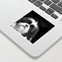 Shih Tzu Dog Sticker