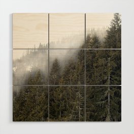 Pine tree tops treeline | Alps mountainside foggy background Wood Wall Art