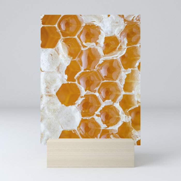Close-up of golden honeycomb l Food photography Mini Art Print