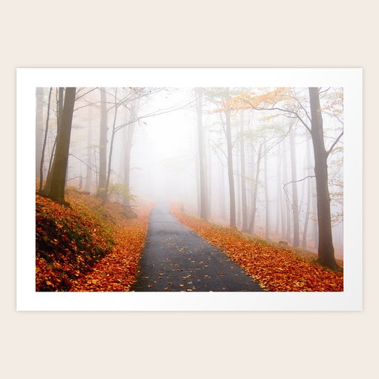 Spirit Forest Art Print