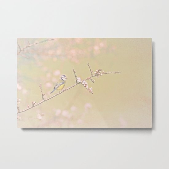 BIRD Metal Print
