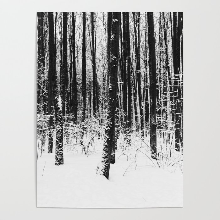 Winter forest Poster