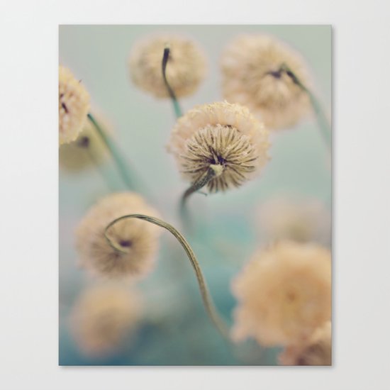 Hazy Shade of Winter Canvas Print