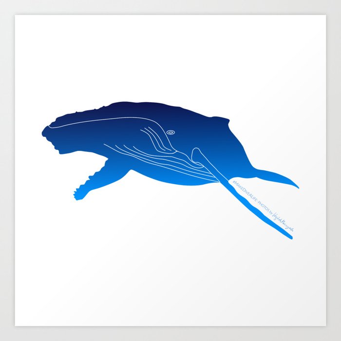 Blue humpback whale Art Print