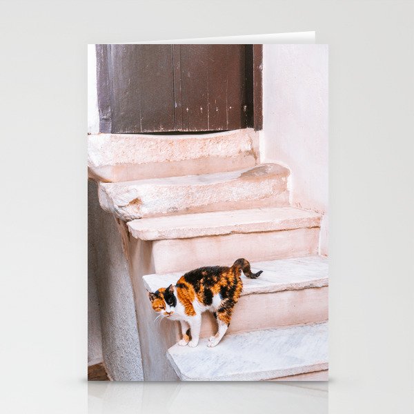 Cats of Greece | Colorful Photography of a Stray Cat on the Greek Islands Stationery Cards