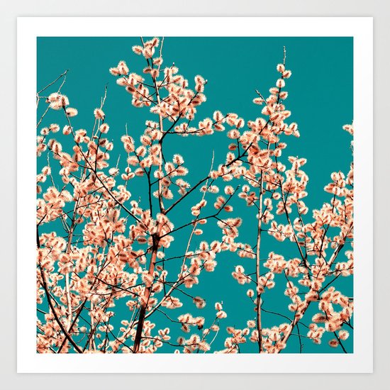 willow catkin II Art Print