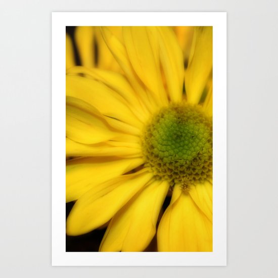 sunflowers2 Art Print