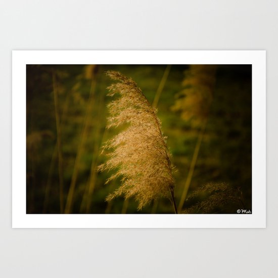 Reed Art Print