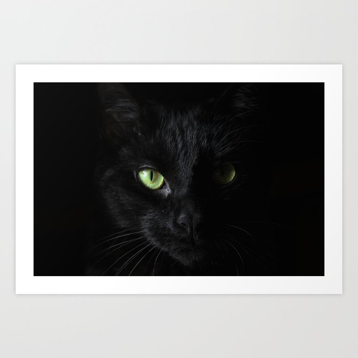 Black Cat Witchy Cat Green Eyes Cat Love Happy Halloween