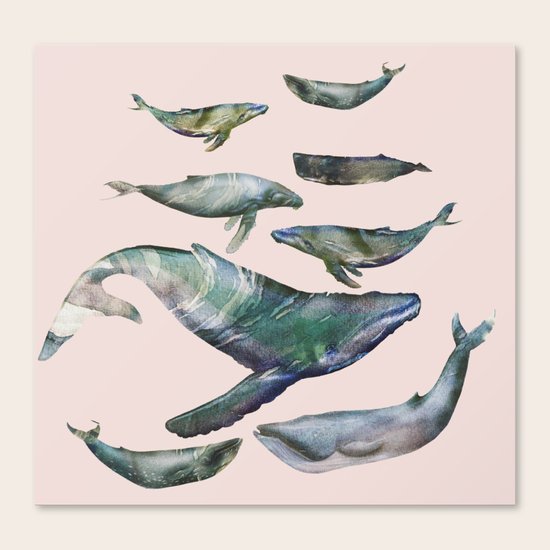 whales Canvas Print