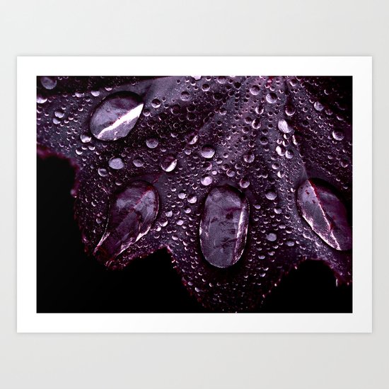 water drop XXIV Art Print