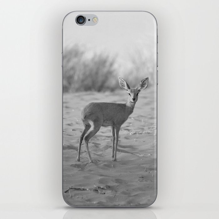 Black and White Dik-dik antelope iPhone Skin