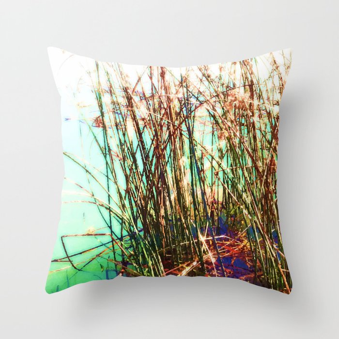 Aquatic vegetation, aquatic plant, aquatic plants, leaves, leaf, nature, botanical, tropical, exotic, water, summer, reflection, sun, sunny-day, spring, holiday, xmas, red, green, Throw Pillow