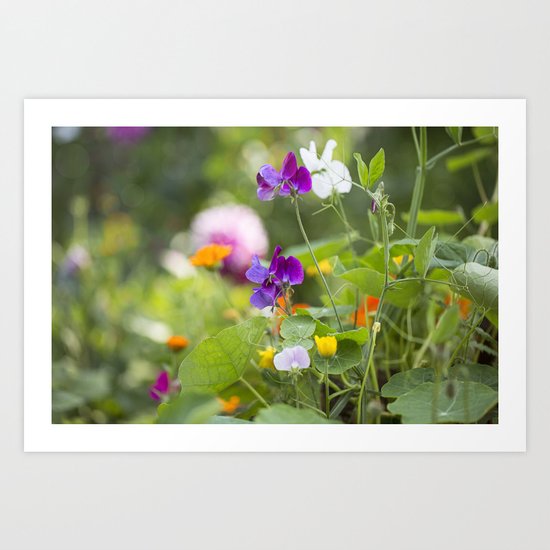 Summer Flowers colorful green meadow Art Print