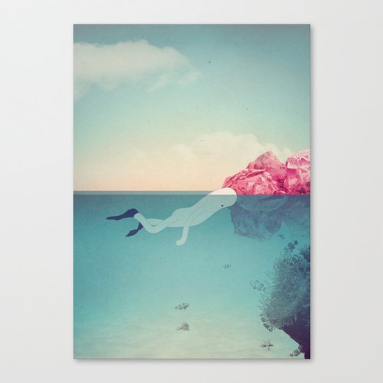 s u b Canvas Print