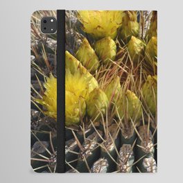 Mexico Photography - Beautiful Barrel Cactus Up-Close iPad Folio Case