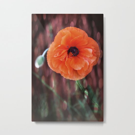 Babi Pavla Metal Print