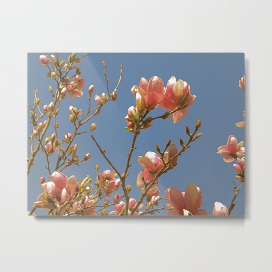 Hope Springs Eternal Metal Print
