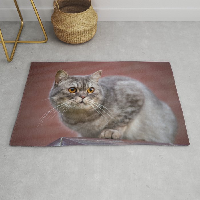 British Shorthair Cat On The Wall Rug By Tanjariedel Society6