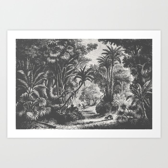 Indian Jungle Art Print