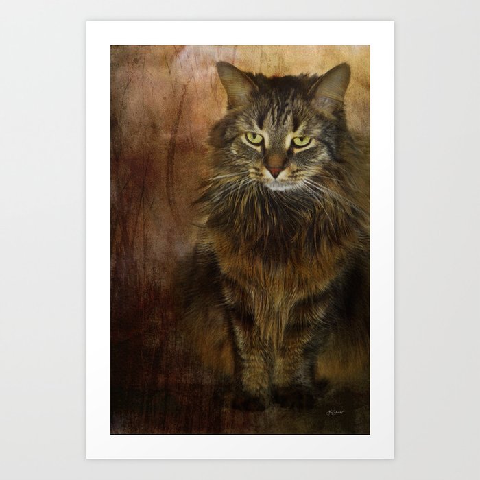 Cat 2 Art Print