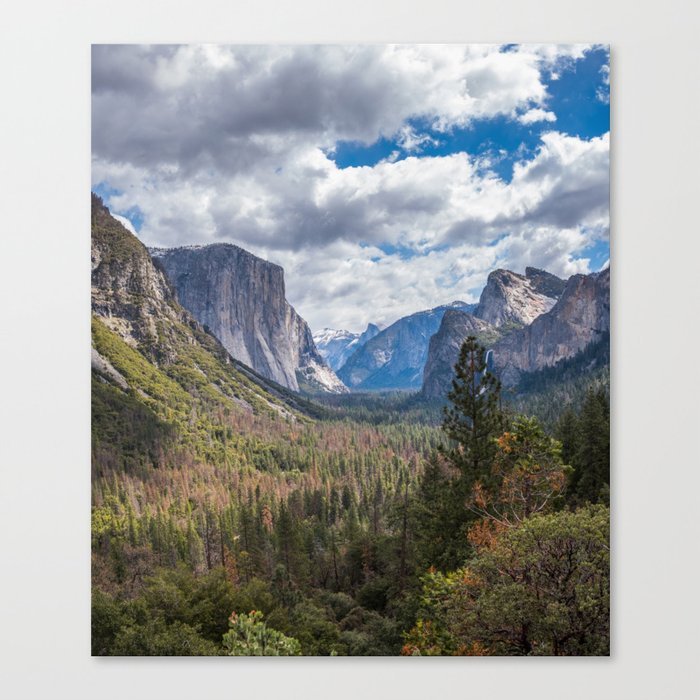 Yosemite Valley Canvas Print