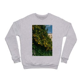 Amalfi Coast Lemons II Crewneck Sweatshirt