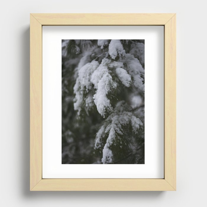 Evergreen tree with snow Recessed Framed Print