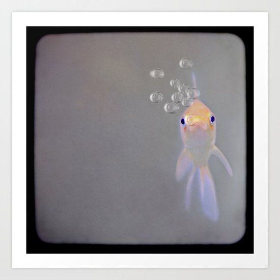 You looking at me, fishy? Art Print