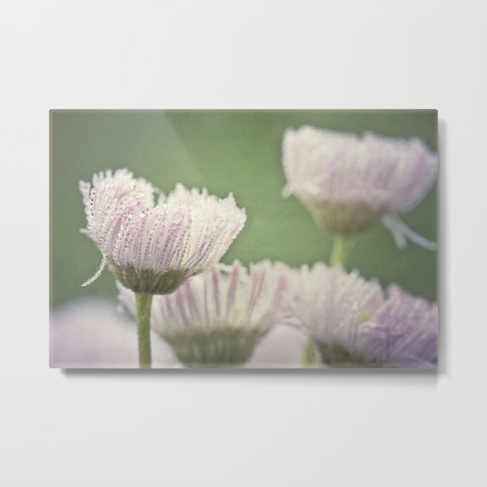 softly Metal Print