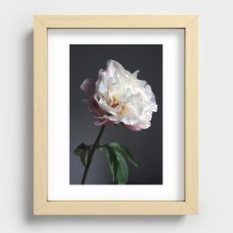 Soft pink peony Recessed Framed Print