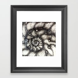 Ammonite11 Framed Art Print