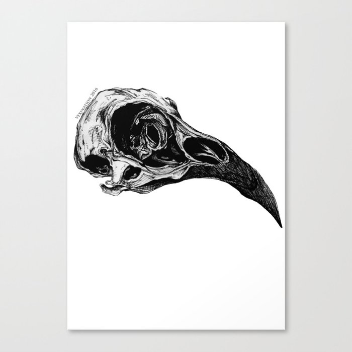 Mutated Crow Skull Canvas Print