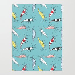 Aquarium Shrimp Pattern Poster