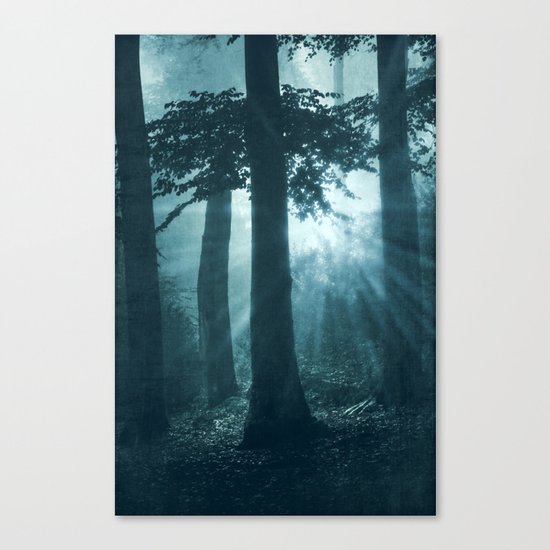 repetitions Canvas Print