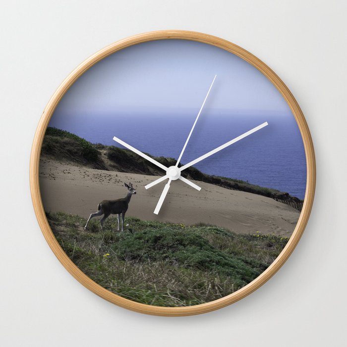 Point Reyes Scene Wall Clock
