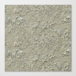 Rough Plastering Texture Canvas Print