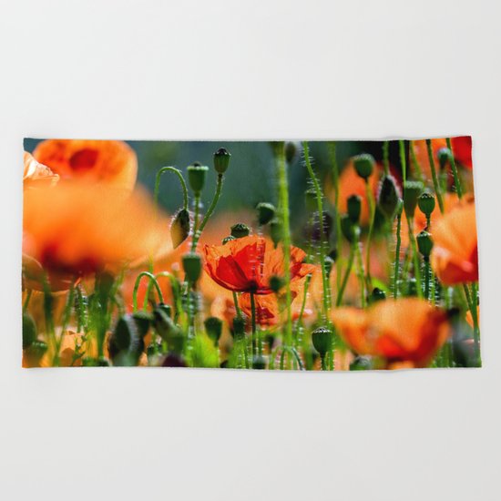 poppy dream Beach Towel