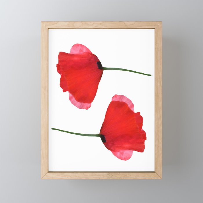 Two red poppies Framed mini art print
