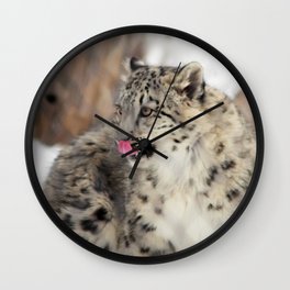 Snow Leopard Cub Wall Clock