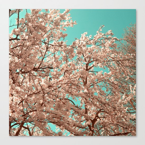 spring tree XVIII Canvas Print