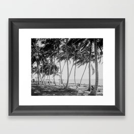 Miami Florida Palm Trees Black and White Vintage Photograph, 1915 Framed Art Print