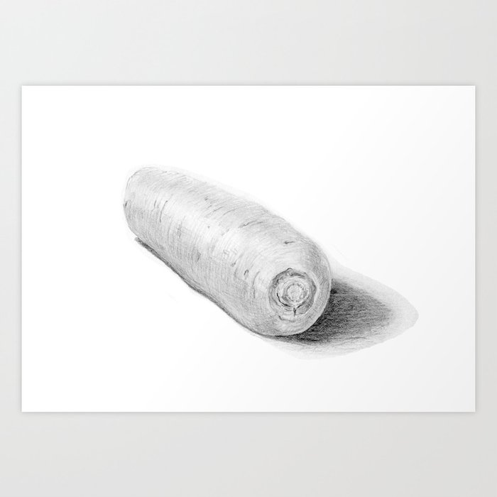 Carrot Realistic Pencil Sketch Drawing Art Print By Kyokobartley