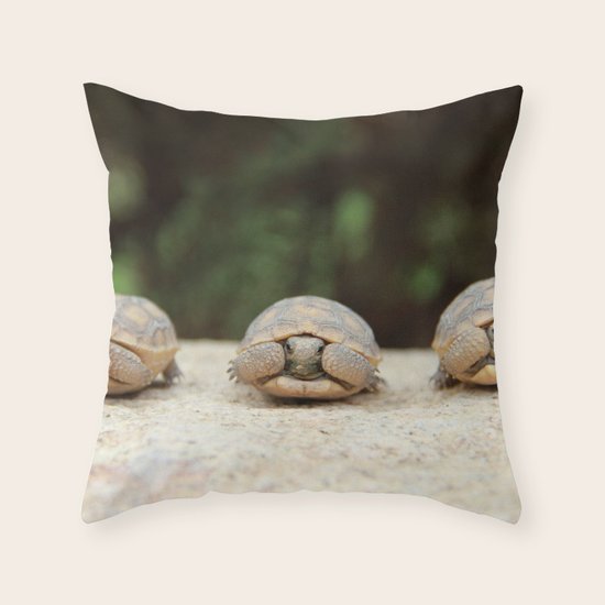 Family Portrait Throw Pillow