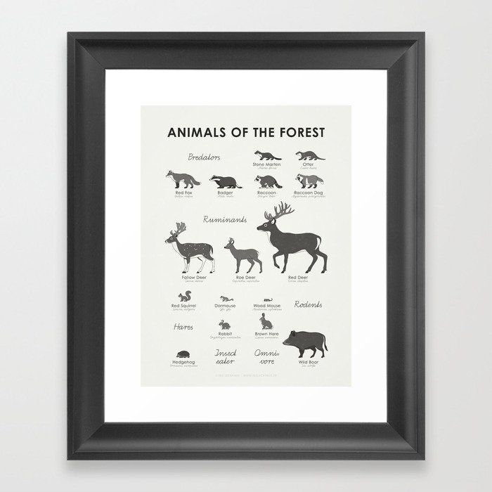 Forest Animals Identification Chart Framed Art Print