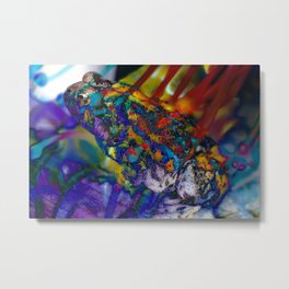 Fire Toad Metal Print | Color, Macro, Stephenlinhart, Photo, Digital, Abstract, Animal, Pop Surrealism, Digitalmanipulation, Toad 