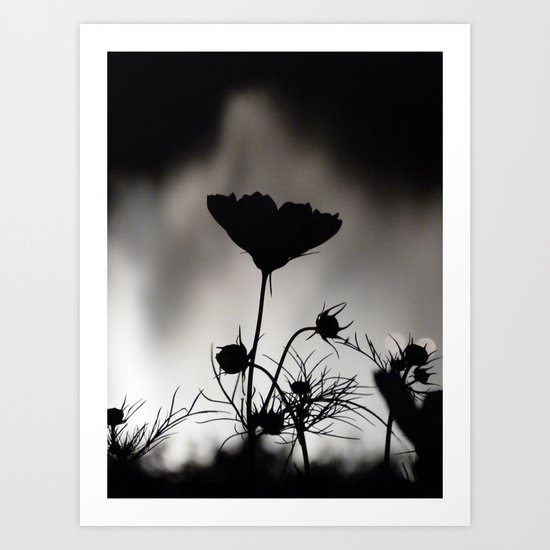 Flower in black and white Art Print