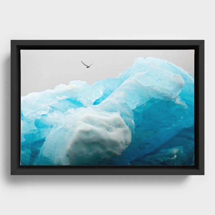 Iceburg Framed Canvas