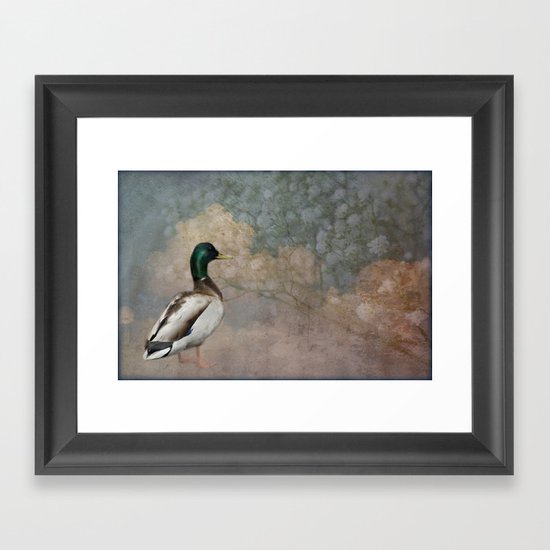 Where the Ducks go Framed Art Print
